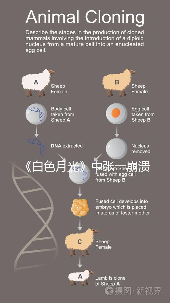《白色月光》中張一崩潰在孩子面前哭，你認為該不該？