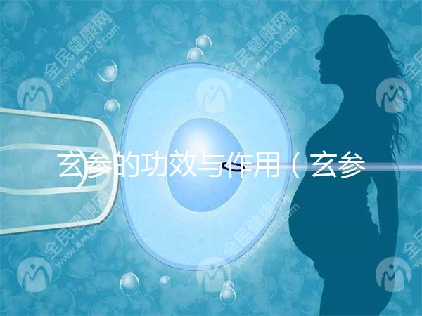 玄參的功效與作用(玄參傷腎還是補腎)