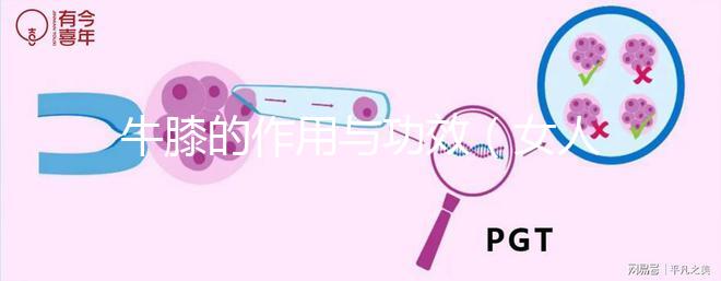 牛膝的作用與功效（女人吃牛膝的神奇功效）