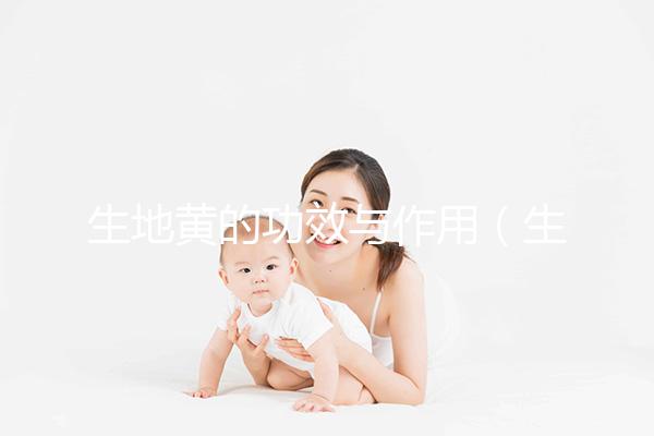 生地黃的功效與作用（生地黃是傷腎還是補(bǔ)腎）