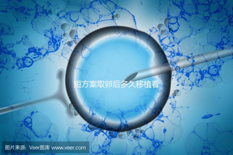 短方案取卵后多久移植看時機，關于試管你要知道一些事