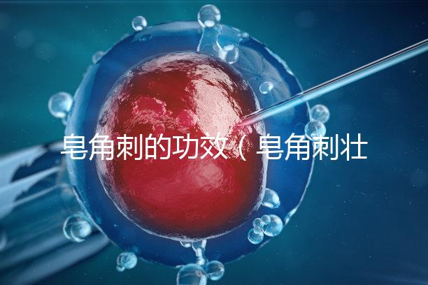 皂角刺的功效(皂角刺壯陽(yáng)多強(qiáng))