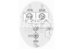 監(jiān)獄項目是否公開招標（監(jiān)獄項目是否公開招標文件）