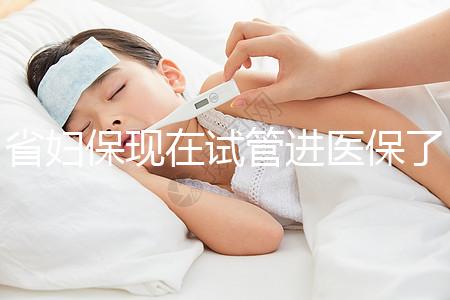 省婦保現在試管進醫保了嗎