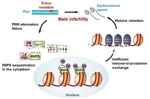管教叛逆期孩子有妙招，這四個方法遠(yuǎn)勝封閉式管理