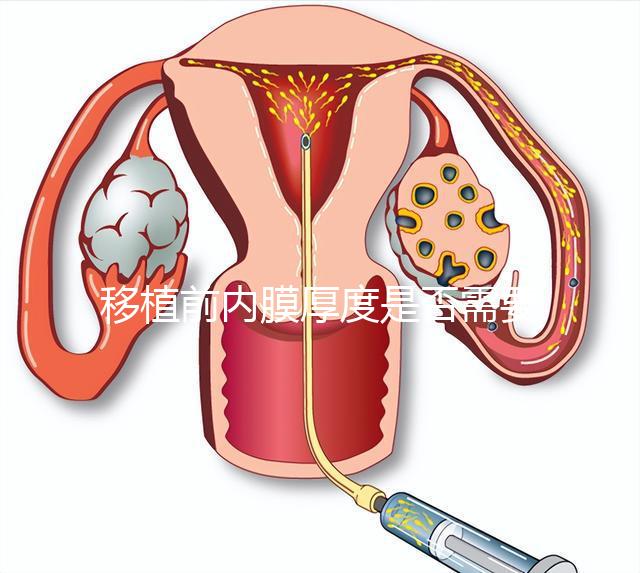 移植前內膜厚度是否需要降調,應注意什么速度