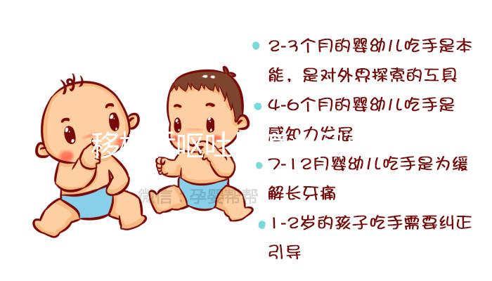 移植后嘔吐是怎么回事？這3大原因別忽視，選對治療方案可促著床！