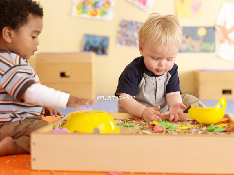 卵泡發(fā)育不良怎么辦，3種方法可生產優(yōu)質卵子