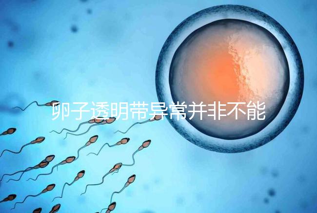 卵子透明帶異常并非不能治療好，你不知道的終極解決方法！