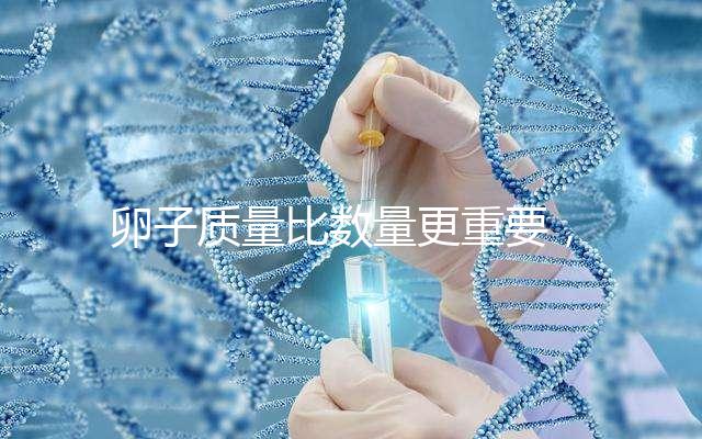 卵子質(zhì)量比數(shù)量更重要，9個卵泡生男孩也很難