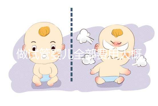 做試管嬰兒全部費(fèi)用大概是多少（做試管嬰兒全部費(fèi)用大概是多少錢）