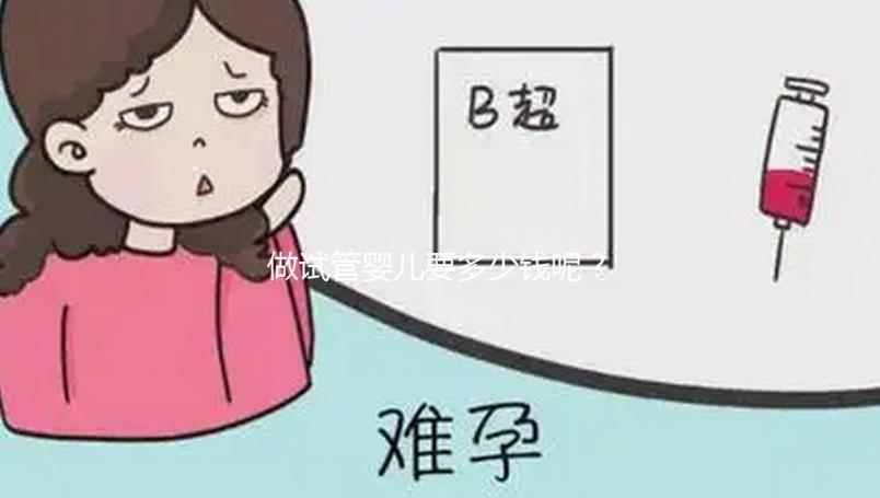 做試管嬰兒要多少錢呢？