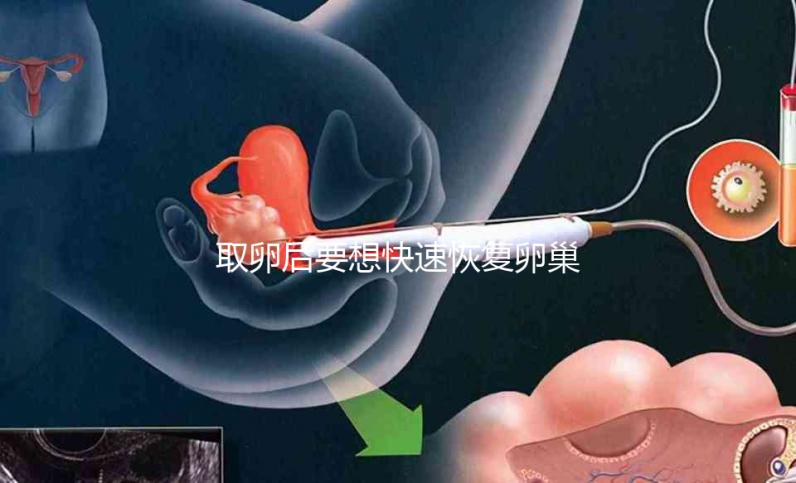 取卵后要想快速恢復(fù)卵巢,這8個方法絕對有效!