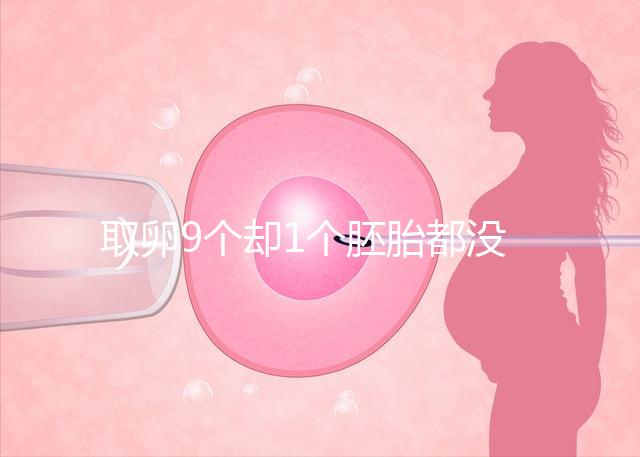 取卵9個卻1個胚胎都沒有，33歲準(zhǔn)媽媽最后如何成功？