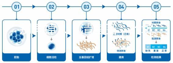 別再掉入“清宮圖”的坑中！備孕不應錯過女性最佳生育年齡
