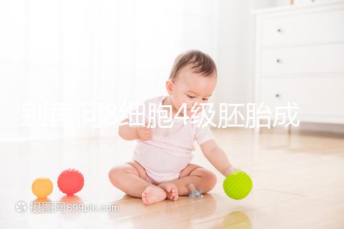 別再問8細胞4級胚胎成功率多少了，醫生說質量好易著床