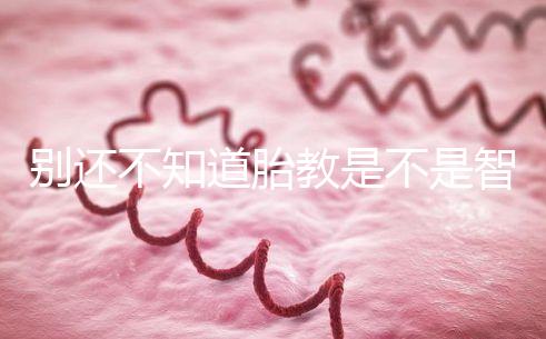 別還不知道胎教是不是智商稅,有沒(méi)有用來(lái)聽(tīng)聽(tīng)專家怎么說(shuō)