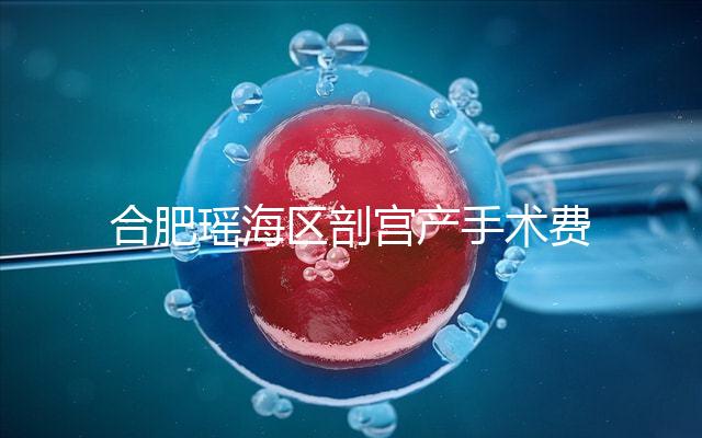 合肥瑤海區(qū)剖宮產(chǎn)手術(shù)費(fèi)不便宜!生育保險報銷多少2024有變