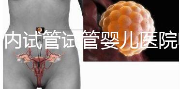 國內(nèi)試管試管嬰兒醫(yī)院哪家強?附排名前十試管嬰兒醫(yī)院名單!