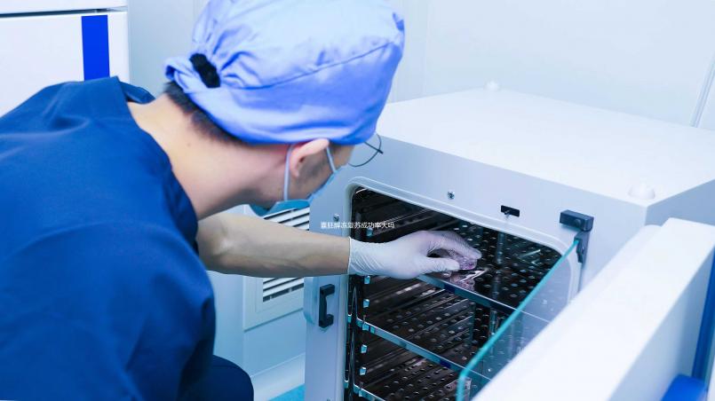 囊胚解凍復蘇成功率大嗎？80%的人都不知道的真相