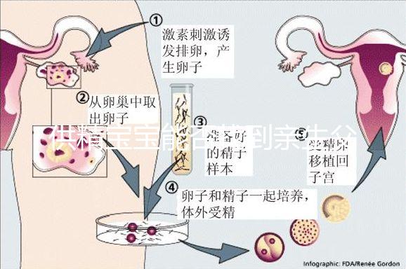供精寶寶能否找到親生父親看這，就算尋到也沒有撫養義務