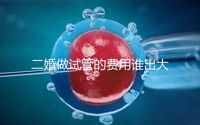 二婚做試管的費(fèi)用誰出大揭秘！總共要花多少錢清清楚楚！