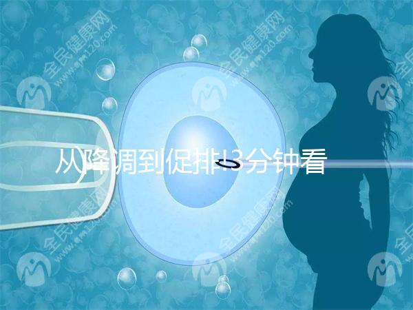 從降調(diào)到促排!3分鐘看完試管嬰兒長方案流程步驟