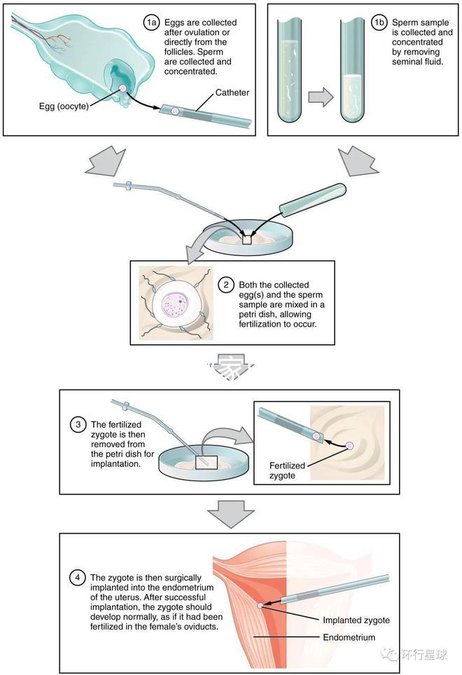 不知欽州哪家男科醫院好戳，機構能不能一目了然