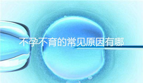 不孕不育的常見原因有哪些