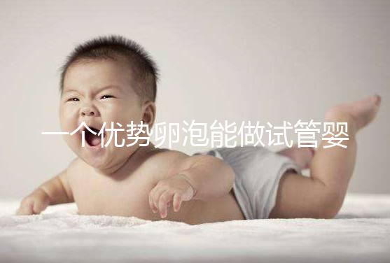 一個優勢卵泡能做試管嬰兒嗎?3點建議,成功好孕并不難