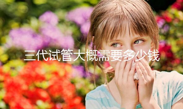 三代試管大概需要多少錢？