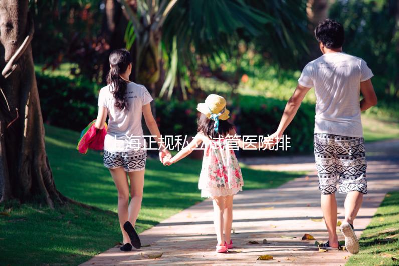 上海正規(guī)私立試管醫(yī)院排名發(fā)布，哪家助孕公司好一覽了然
