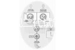 中國正規三代試管嬰兒機構名單，2025生殖機構排名參考