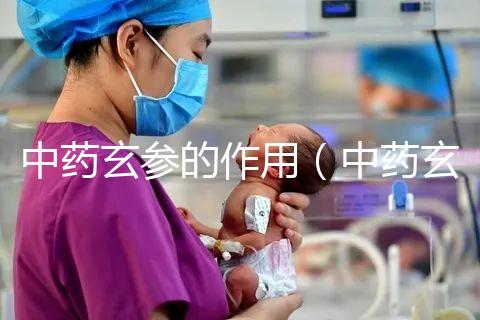 中藥玄參的作用（中藥玄參的作用與功效）