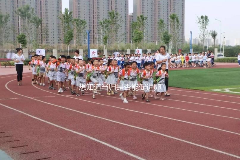 想知道當(dāng)歸是否能促進(jìn)卵泡發(fā)育，加入棗也能補(bǔ)充內(nèi)膜