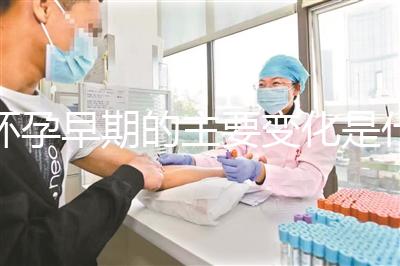 懷孕早期的主要變化是什么？