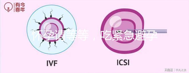 懷孕請等等，吃緊急避孕藥多久能有性生活看專家怎么說