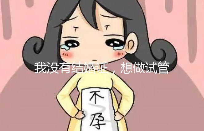 我沒有結婚證，想做試管嬰兒，可以做嗎？