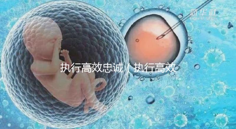 執(zhí)行高效忠誠(chéng)（執(zhí)行高效忠誠(chéng)的成語(yǔ)）