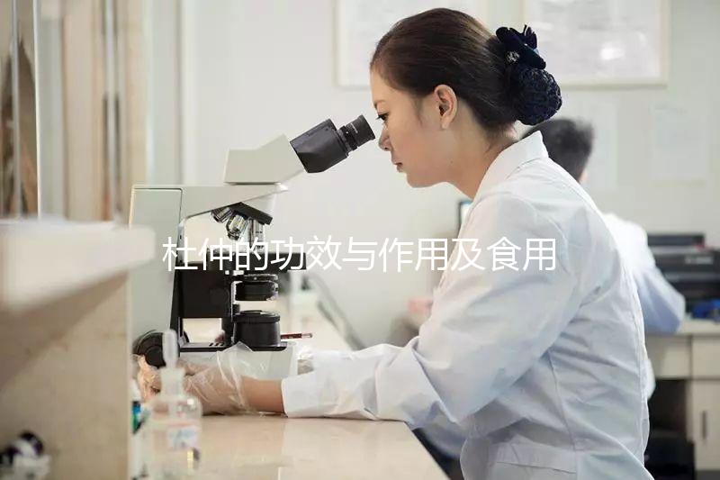 杜仲的功效與作用及食用方法（杜仲的正確吃法）