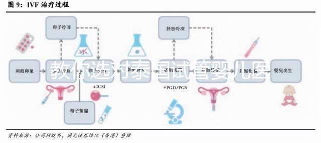 教你選對泰國試管嬰兒醫院，ALL IVF、杰特寧原來是這么回事
