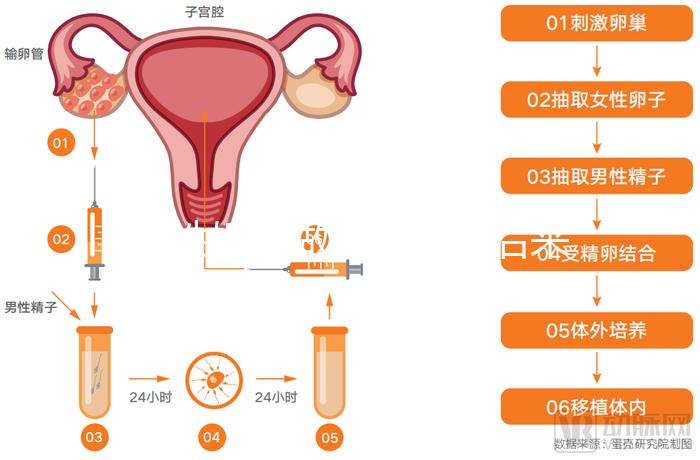 無性婚姻做試管嬰兒后來怎么樣?三個大案例揭開了內幕