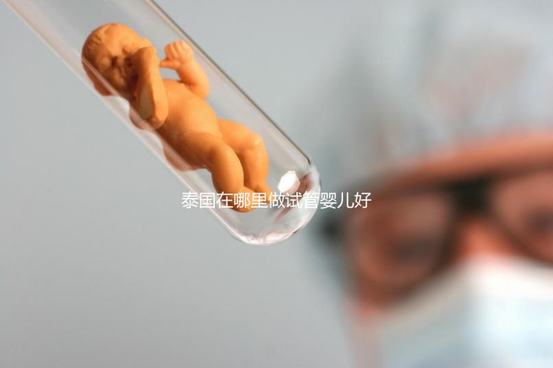 泰國在哪里做試管嬰兒好(泰國在哪里做試管嬰兒好一點)