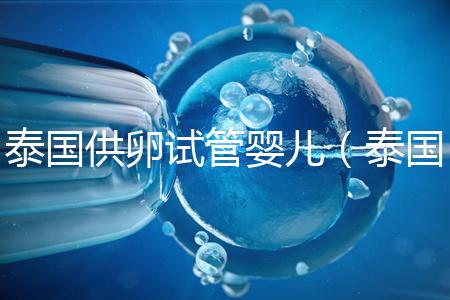 泰國供卵試管嬰兒（泰國供卵試管嬰兒合法嗎）