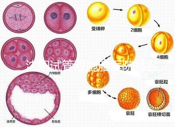 沈陽試管雙胞胎醫(yī)院排名速覽，60s告訴你皇姑區(qū)有哪些