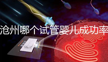 滄州哪個試管嬰兒成功率高?2024年河北生殖中心醫院排名公布