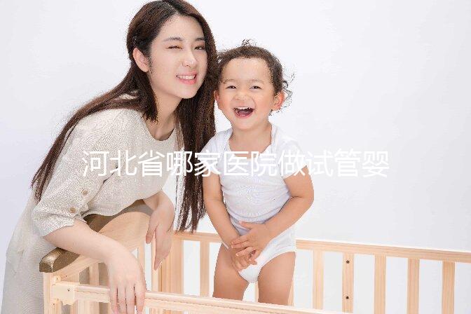 河北省哪家醫院做試管嬰兒好？附2025年熱門醫院推薦