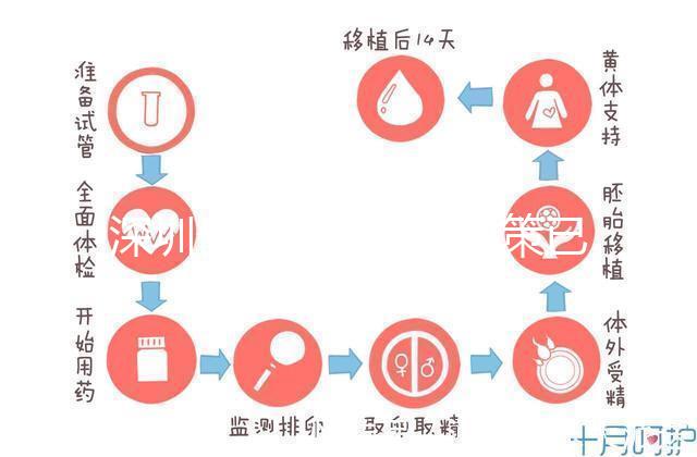 深圳最新獨生子女政策已出爐，羅湖、南山區補貼金均有提高