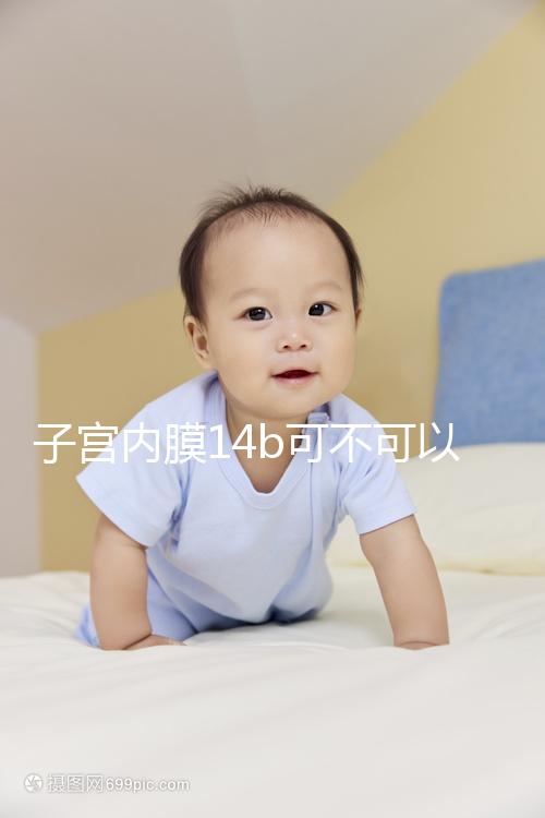 子宮內膜14b可不可以移植囊胚看情況，能否成功只看三點