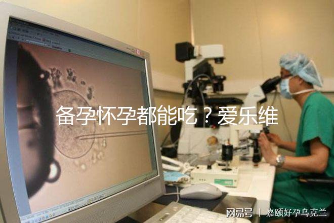 備孕懷孕都能吃?愛樂維的作用和功效大盤點